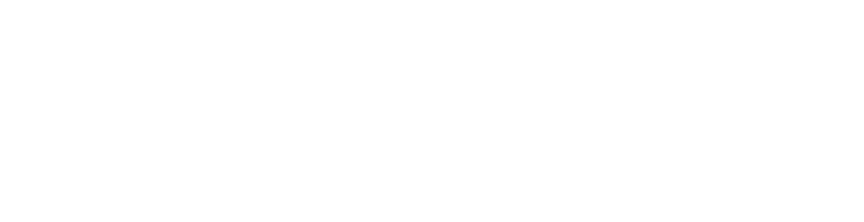 ITSmartS | Precisely